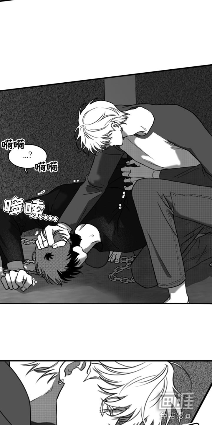 第40章：无可奉告