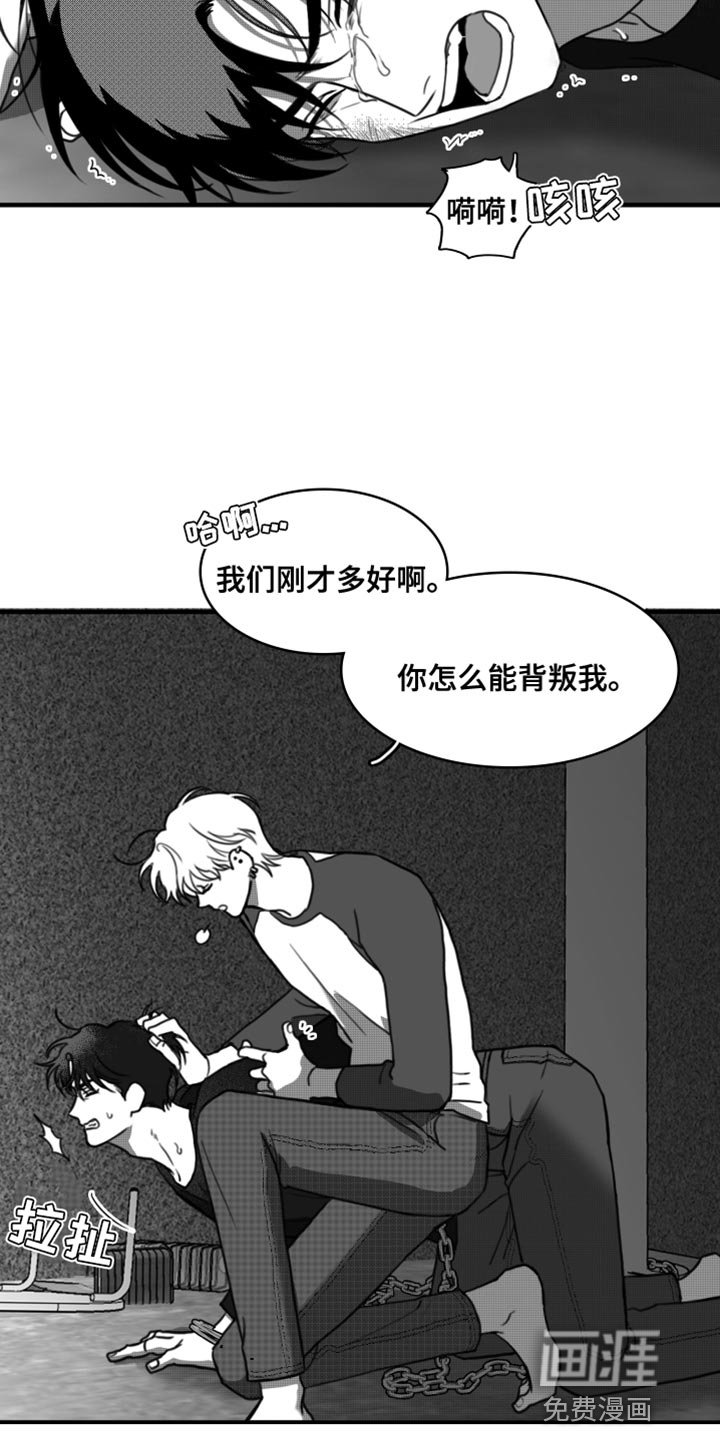 第40章：无可奉告
