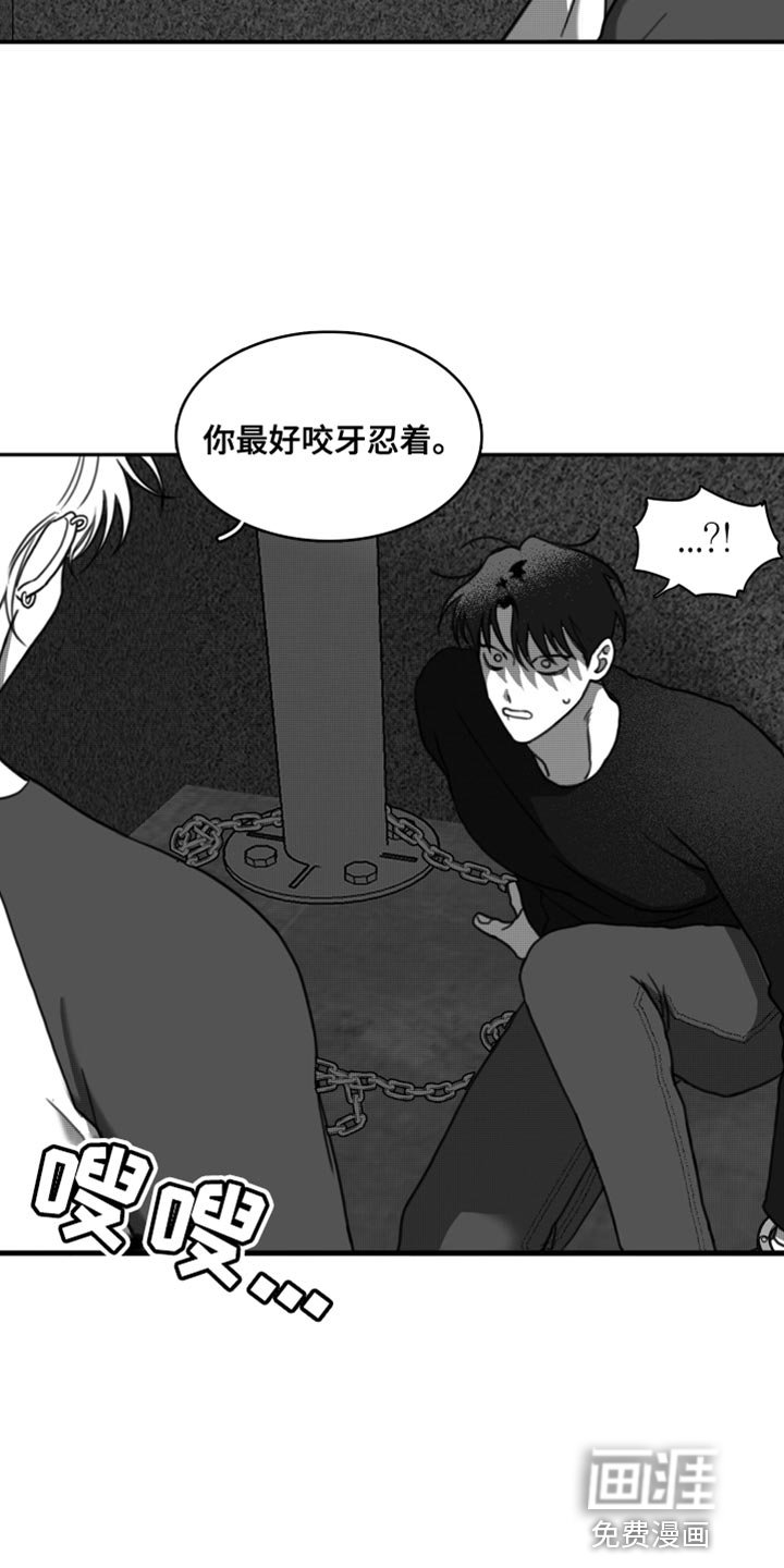 第40章：无可奉告