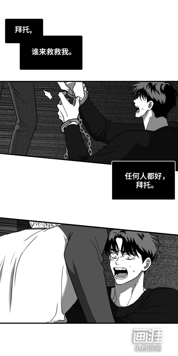 第40章：无可奉告