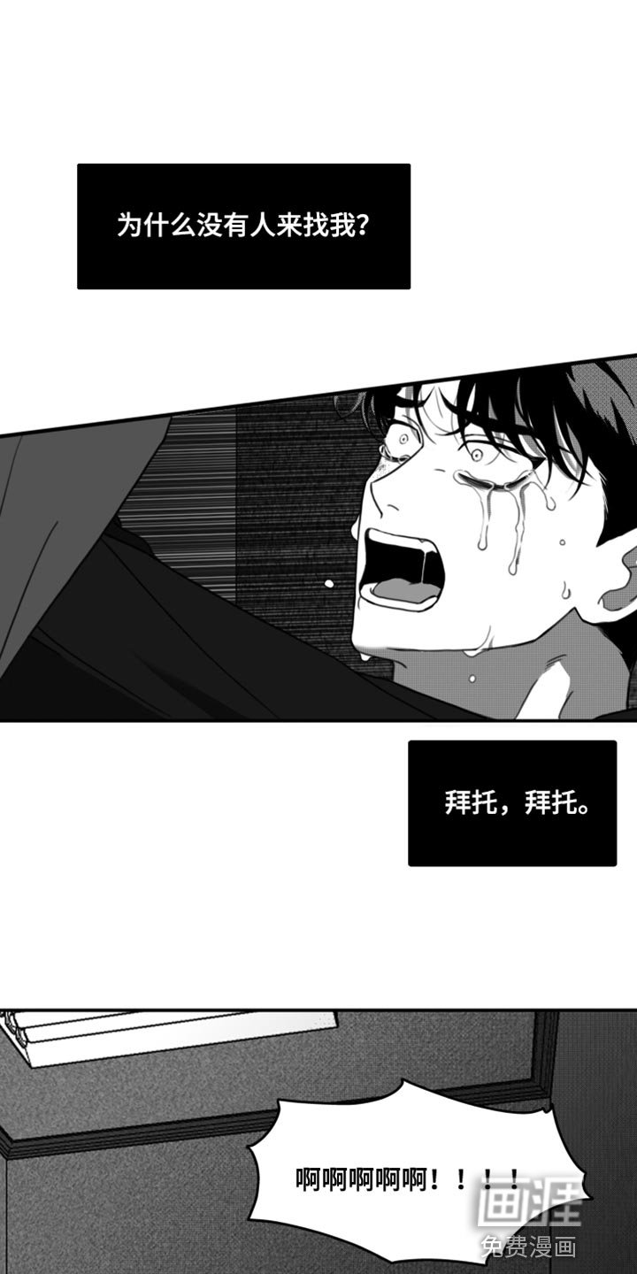 第40章：无可奉告