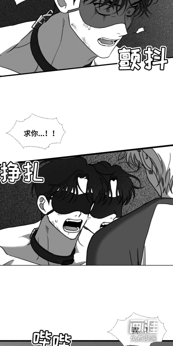 第42章：我原谅你了