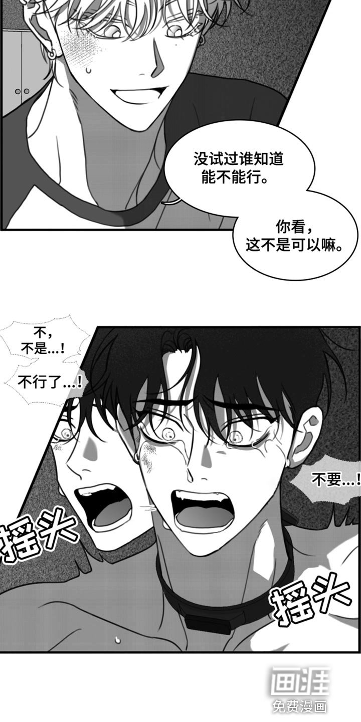第42章：我原谅你了