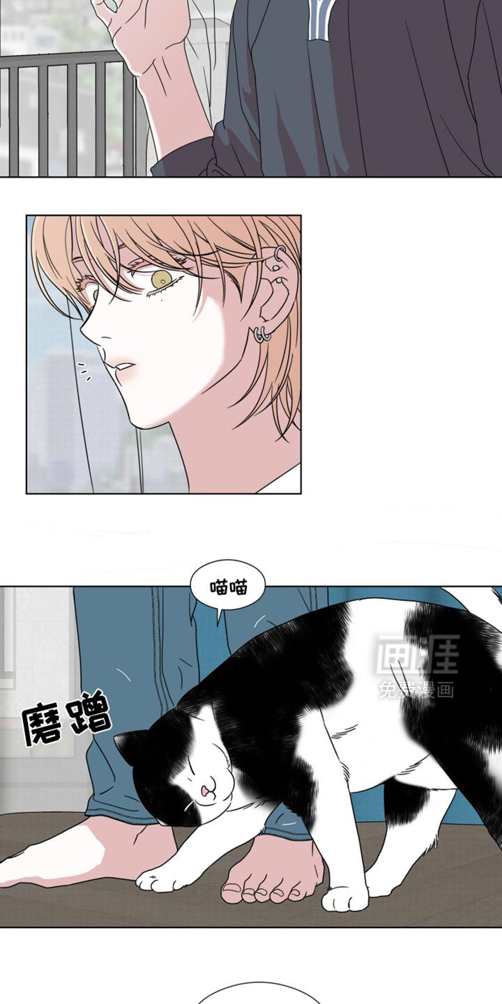 第55章：【第二季】白费功夫