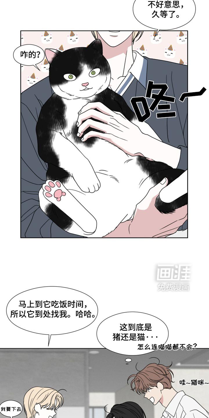 第56章：【第二季】一模一样