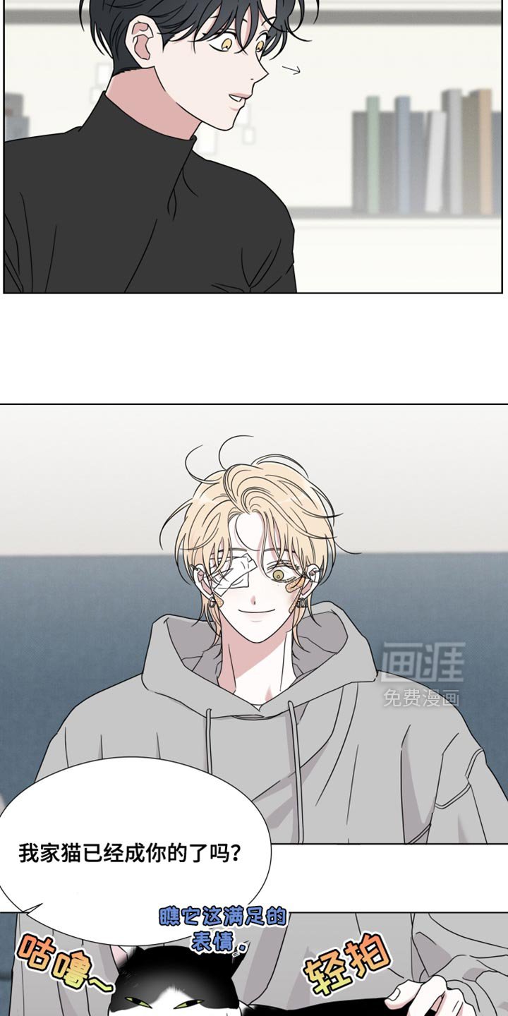 第61章：【第二季】摔倒受伤