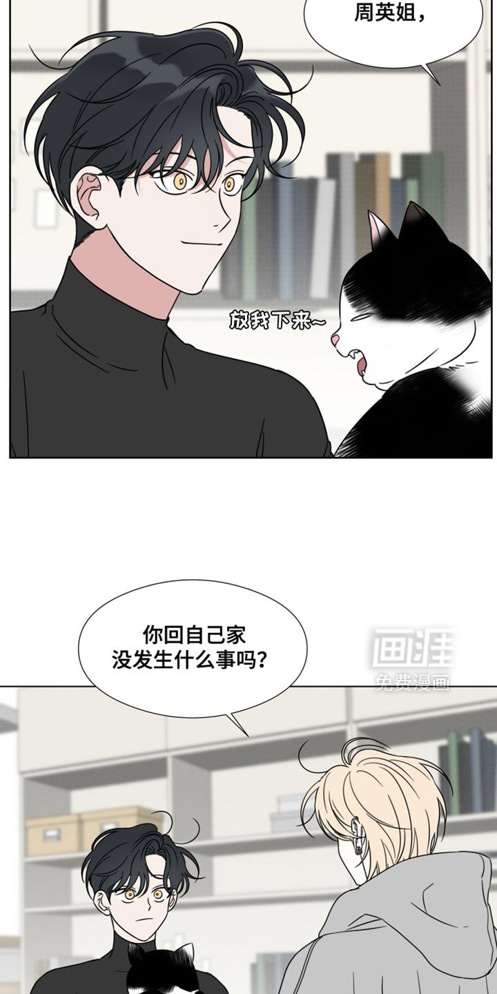 第61章：【第二季】摔倒受伤