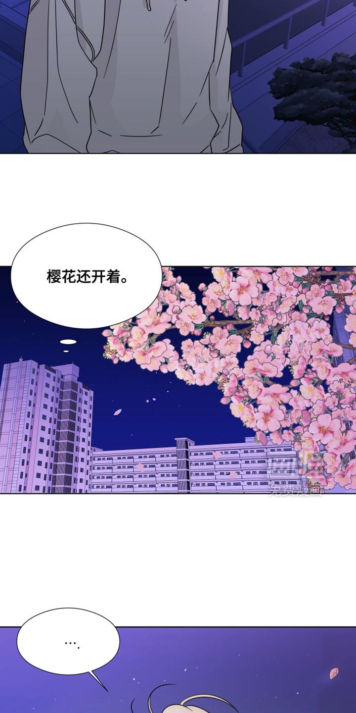第67章：【第二季】樱花还开着