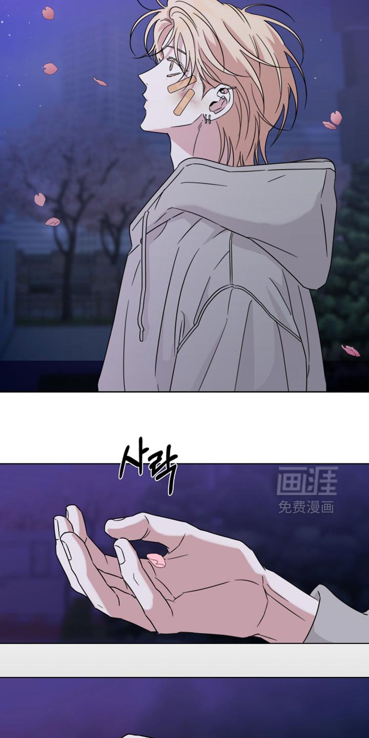 第67章：【第二季】樱花还开着
