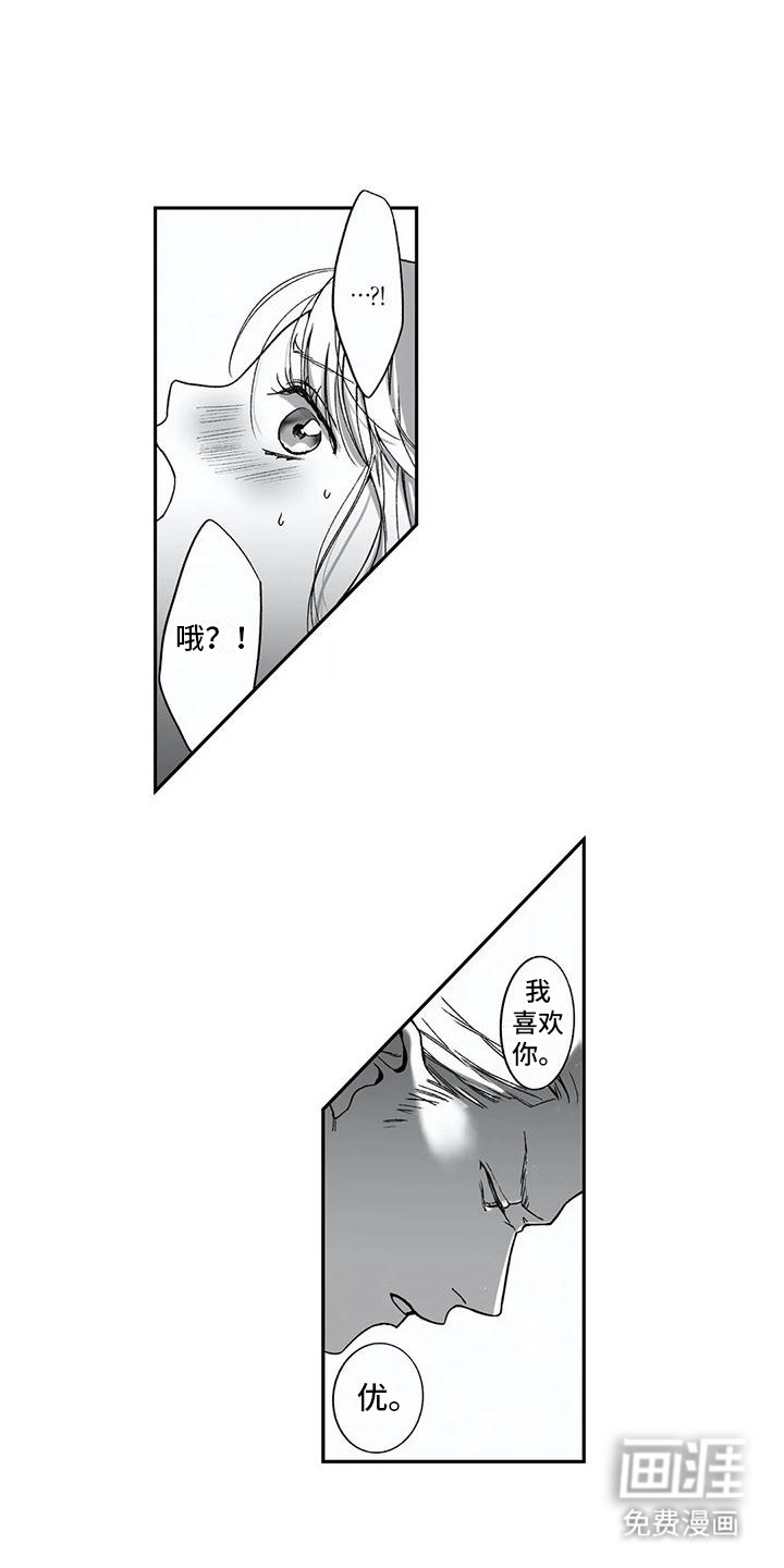 第15章：表白