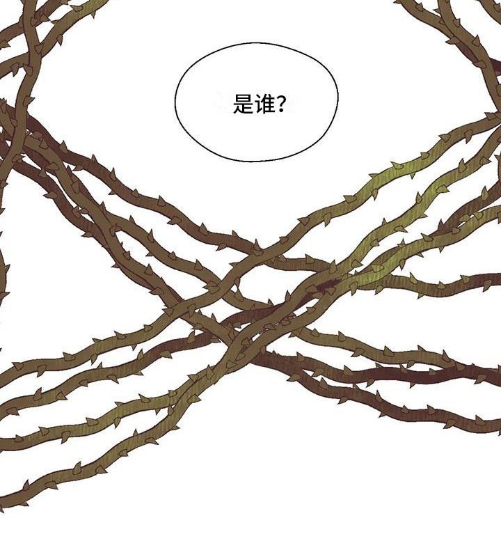 第14章：谁是假的？