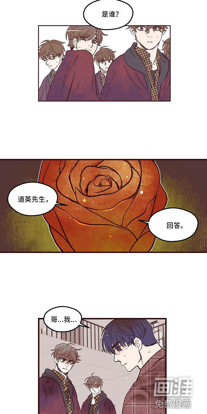 第15章：你是假的