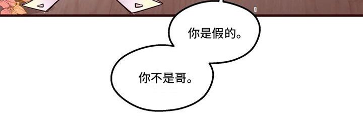 第15章：你是假的