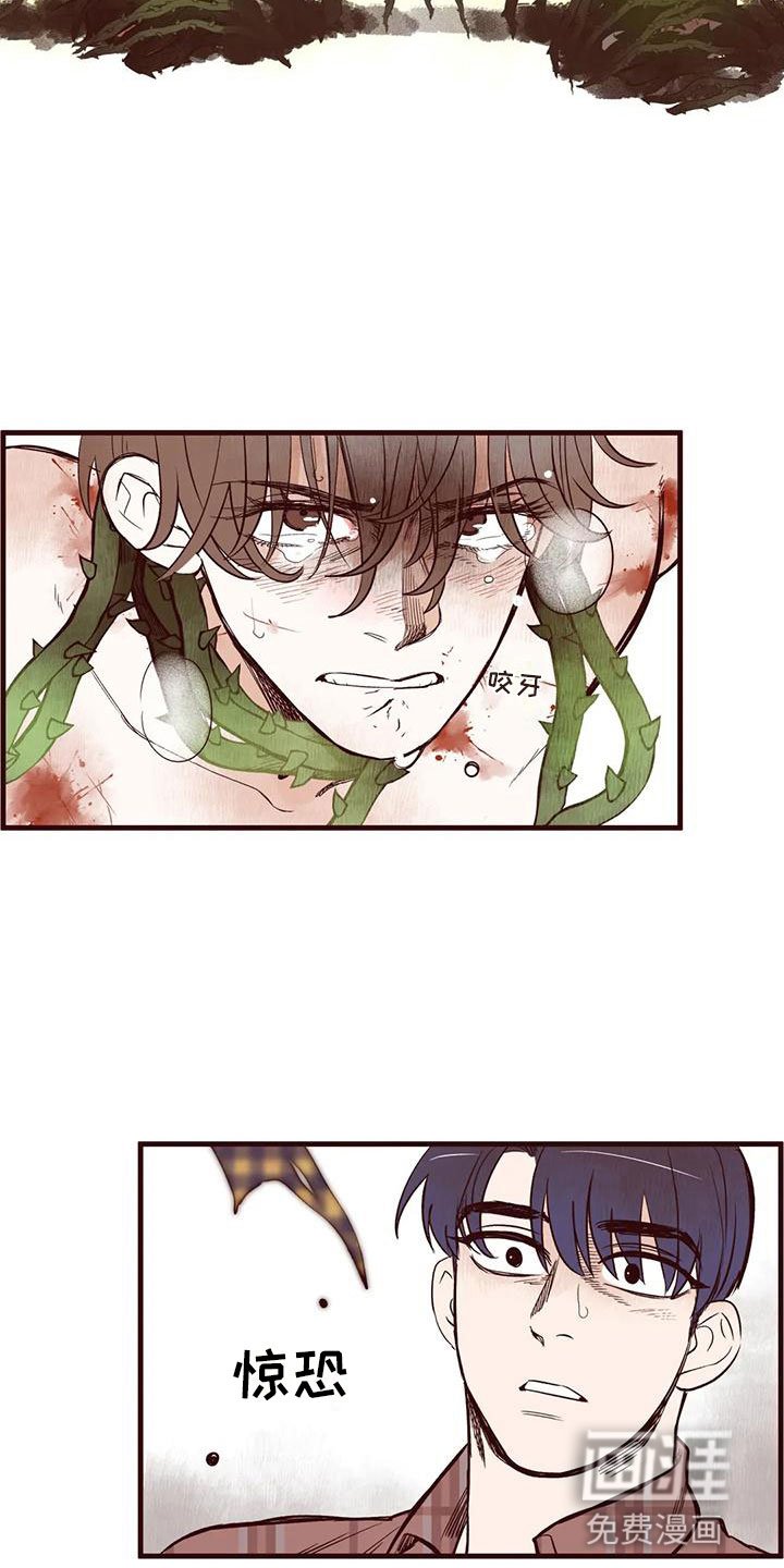 第16章：下场