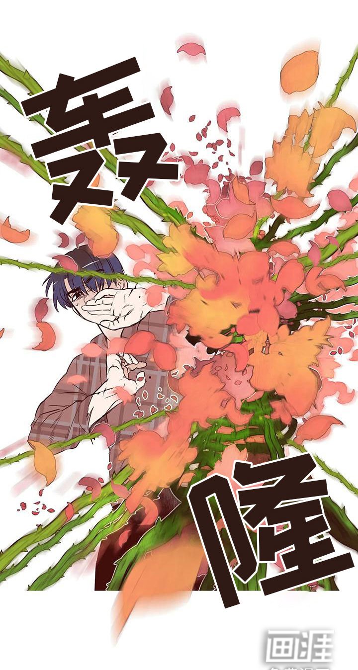 第16章：下场