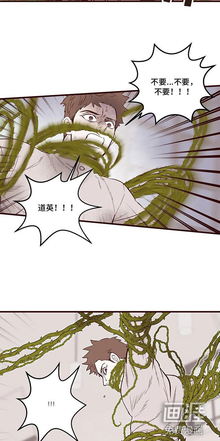 第31章：他的计划