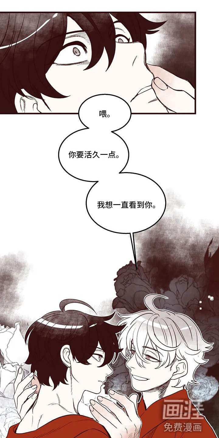 第48章：我的天堂