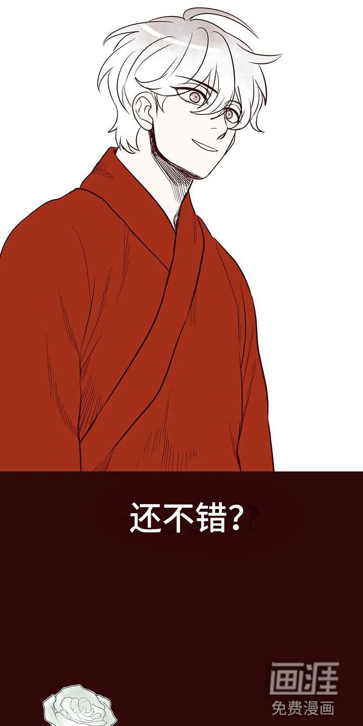 第48章：我的天堂