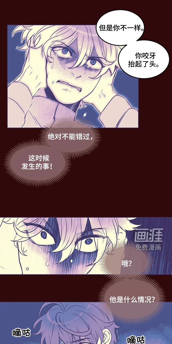第51章：找人
