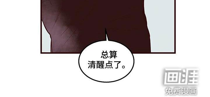 第52章：友军