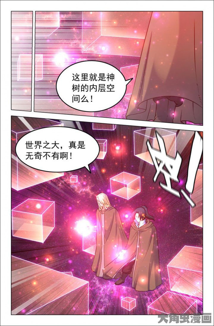 第216章：