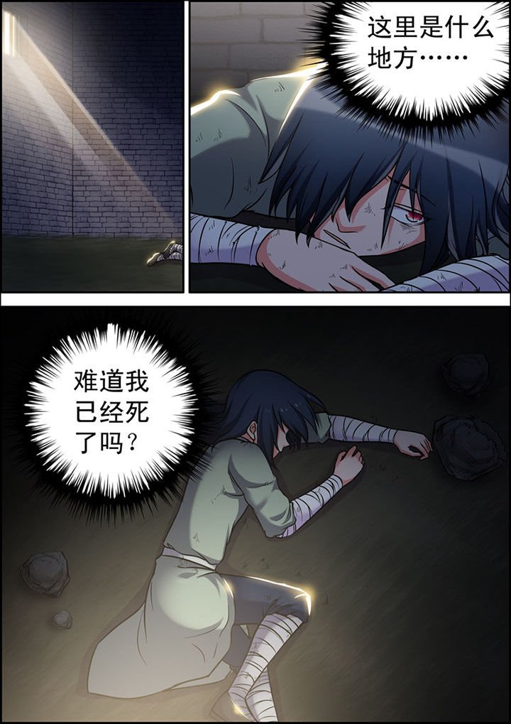 第6章：