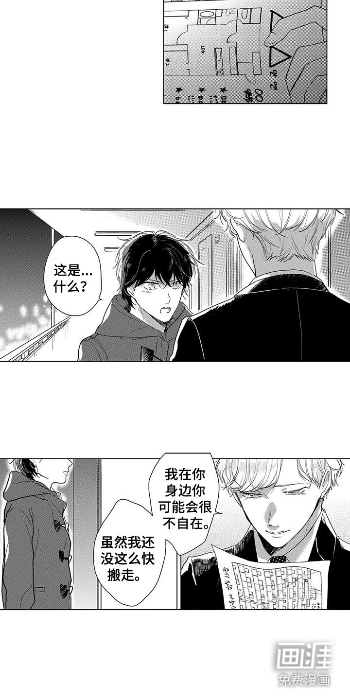第19章：心里话