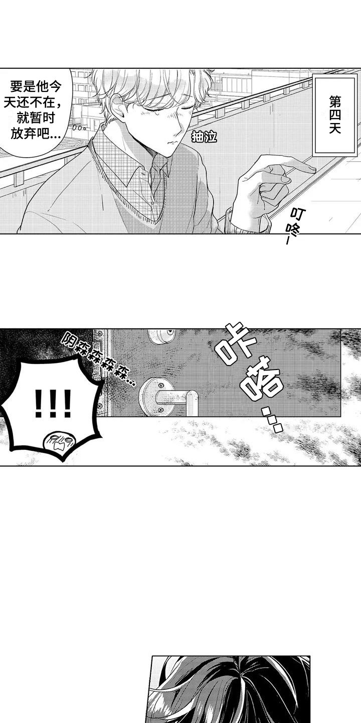 第3章：邻居