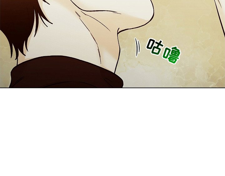 第1章：分化