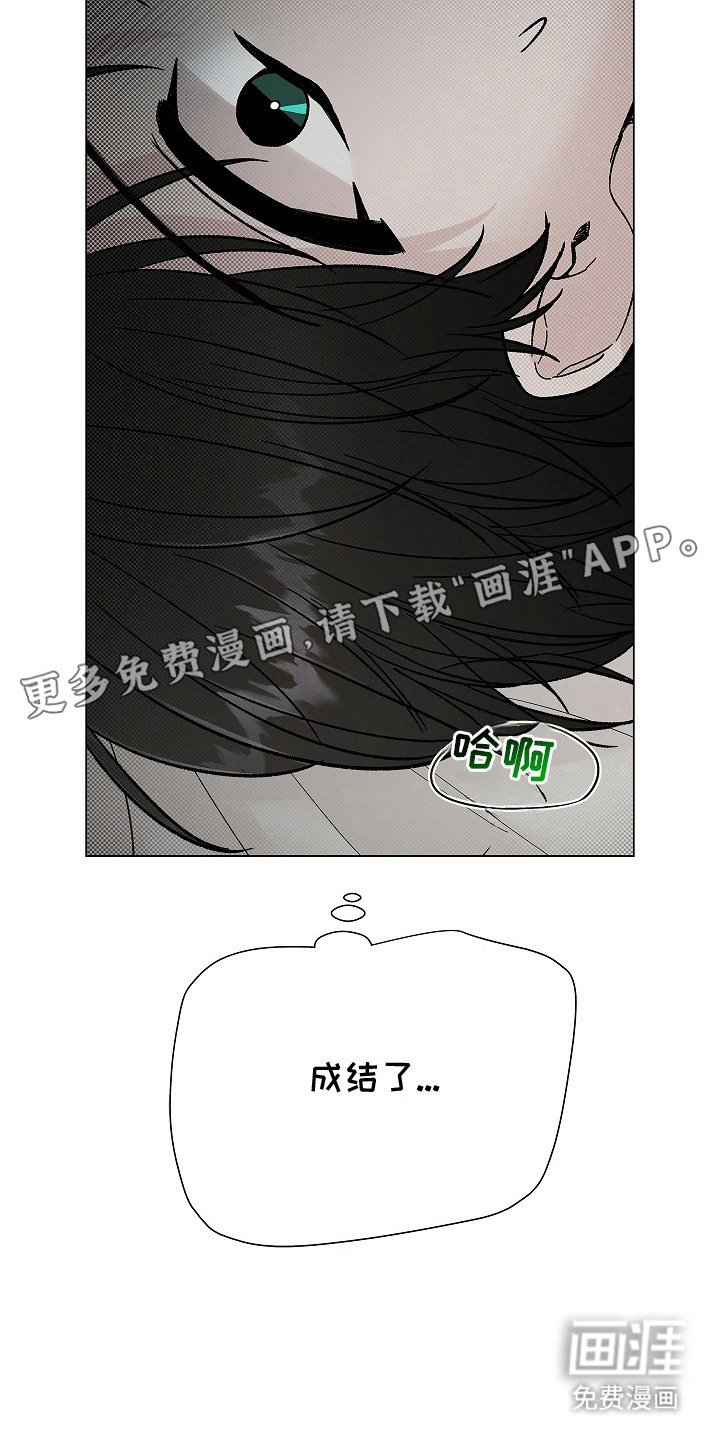 第12章：很奇怪