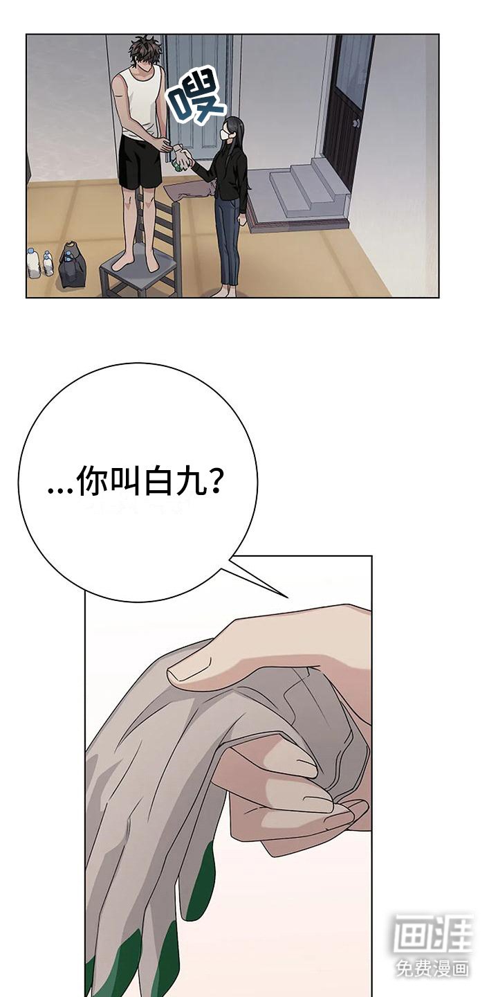 第15章：敷衍