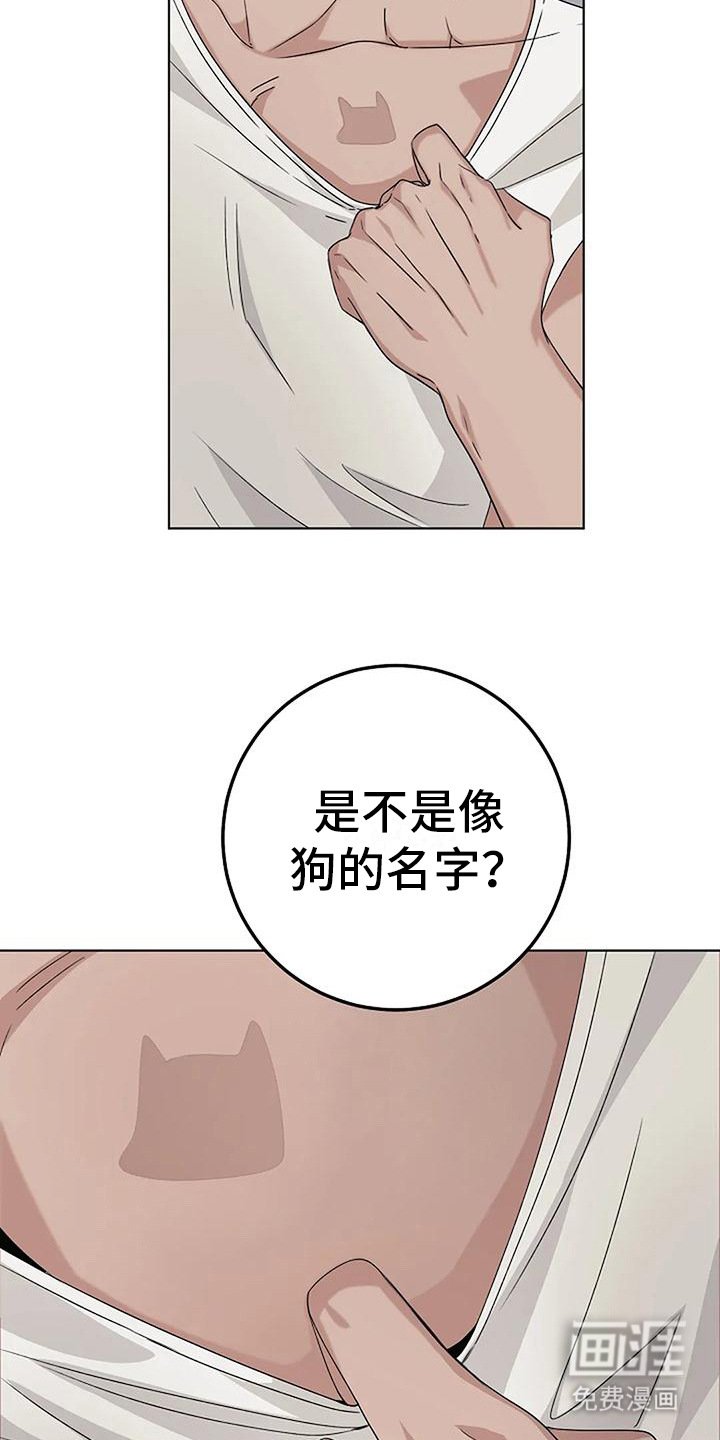 第15章：敷衍