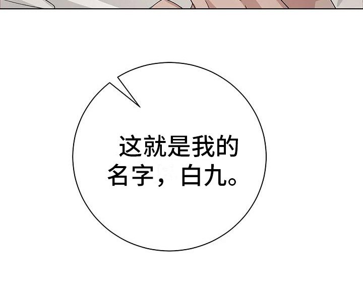 第15章：敷衍