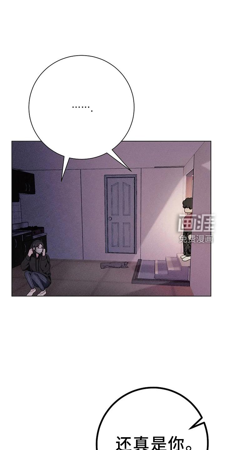 第40章：发现