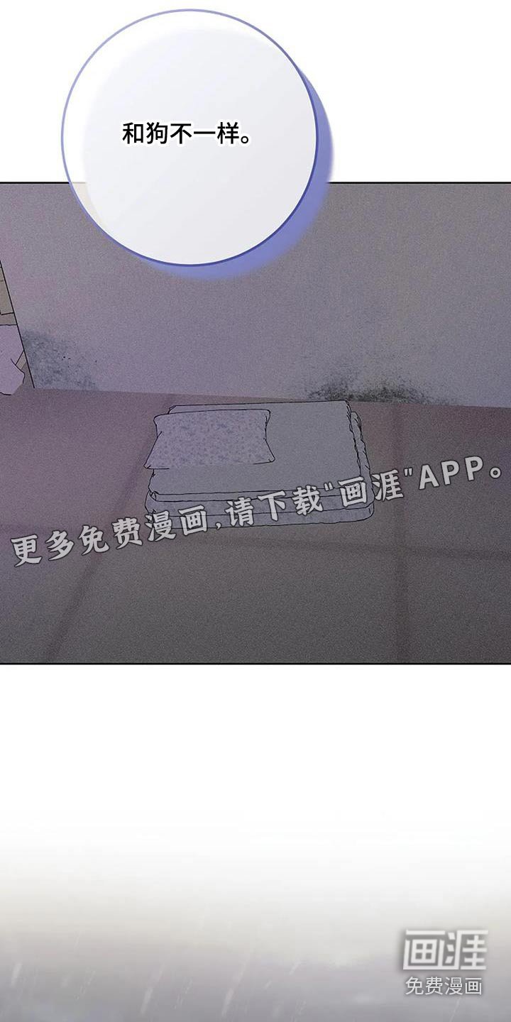 第51章：失落