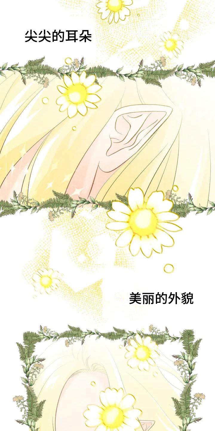 第1章：童话书