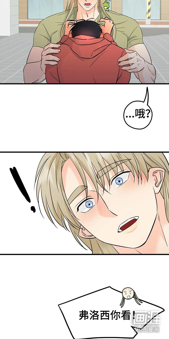 第10章：花纹