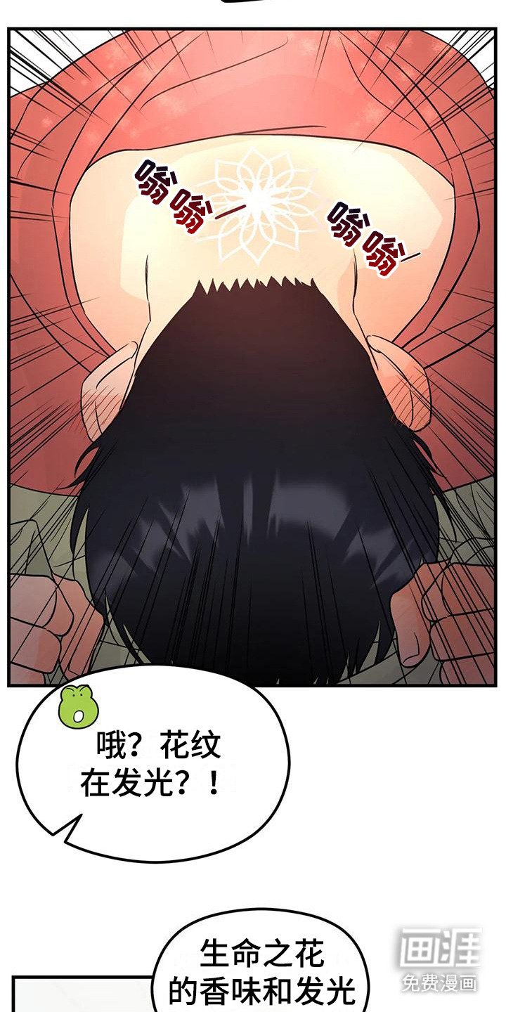 第10章：花纹