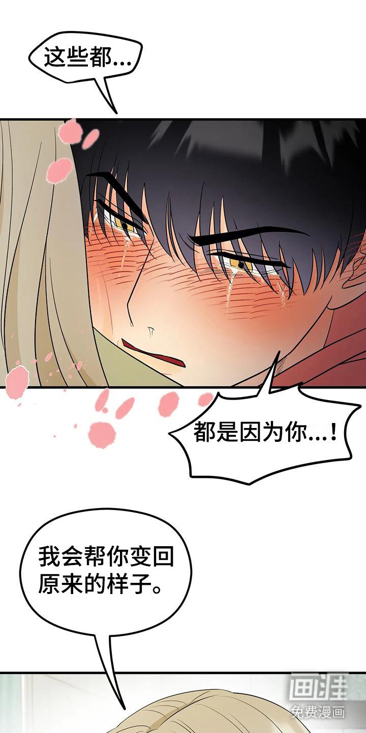 第10章：花纹