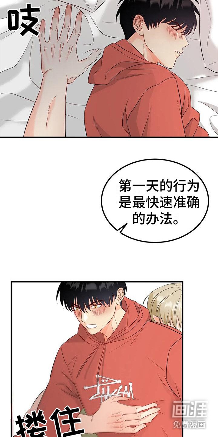 第12章：试试看