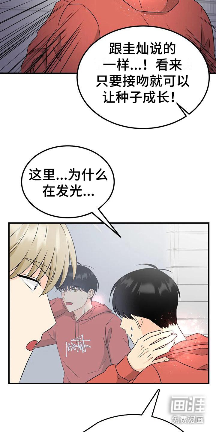 第12章：试试看