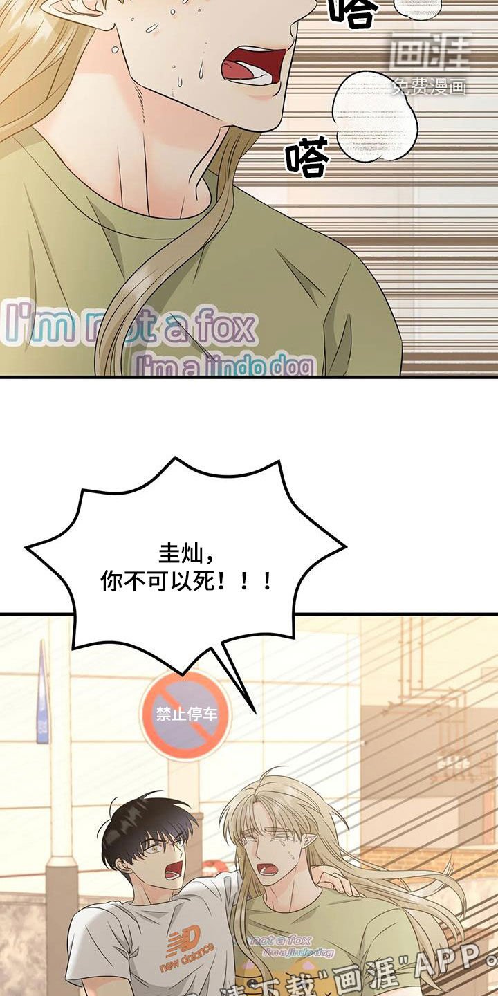 第17章：善良的妖精