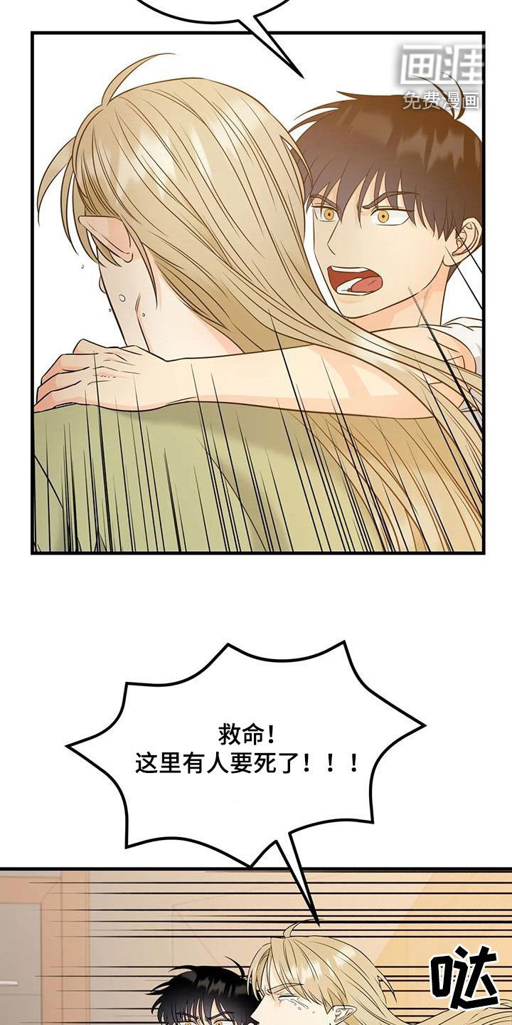 第17章：善良的妖精