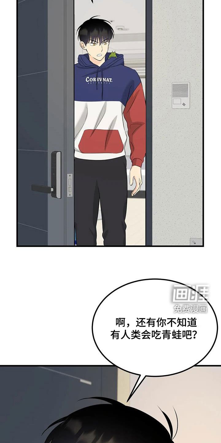 第25章：帽子里有青蛙