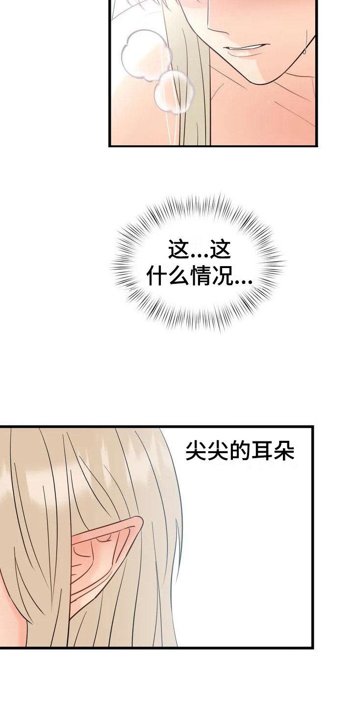 第3章：精灵