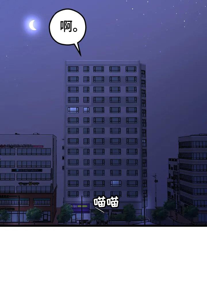 第3章：精灵