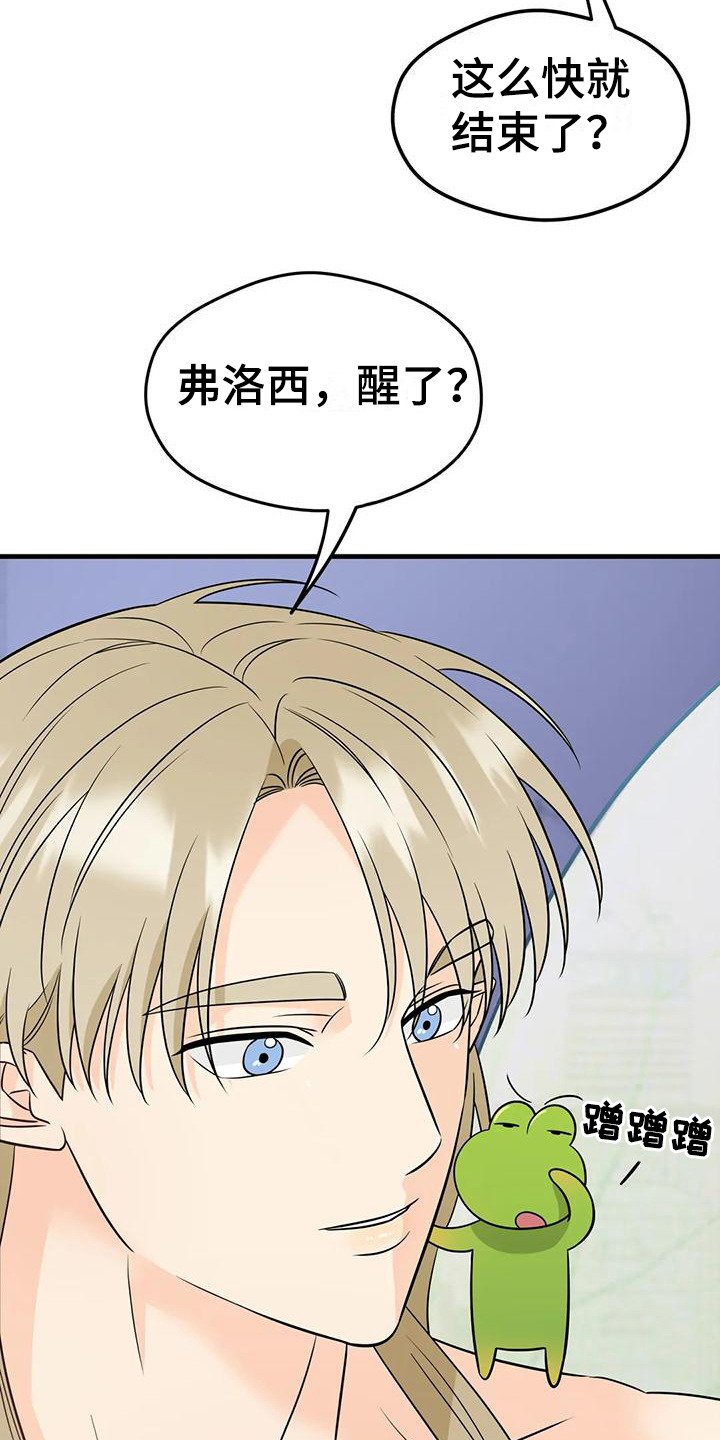 第3章：精灵