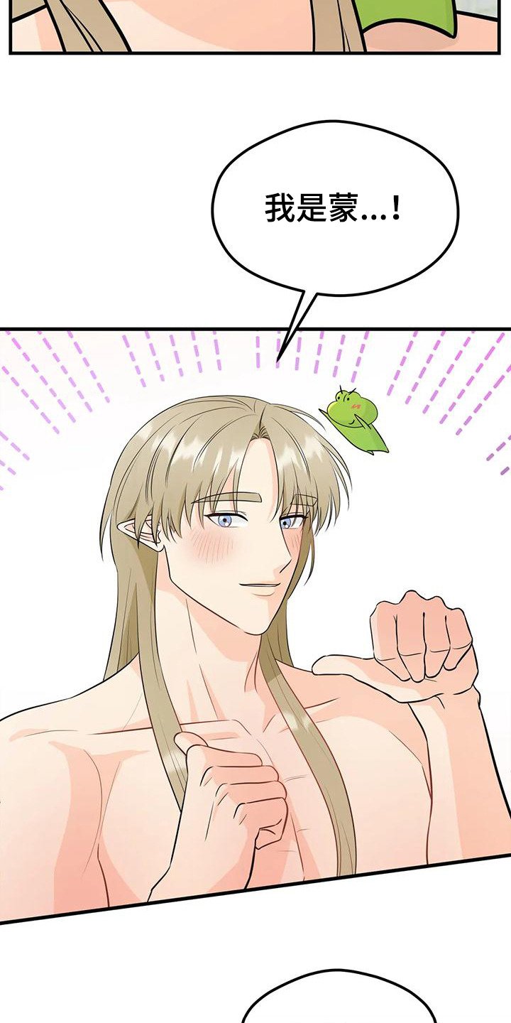 第3章：精灵