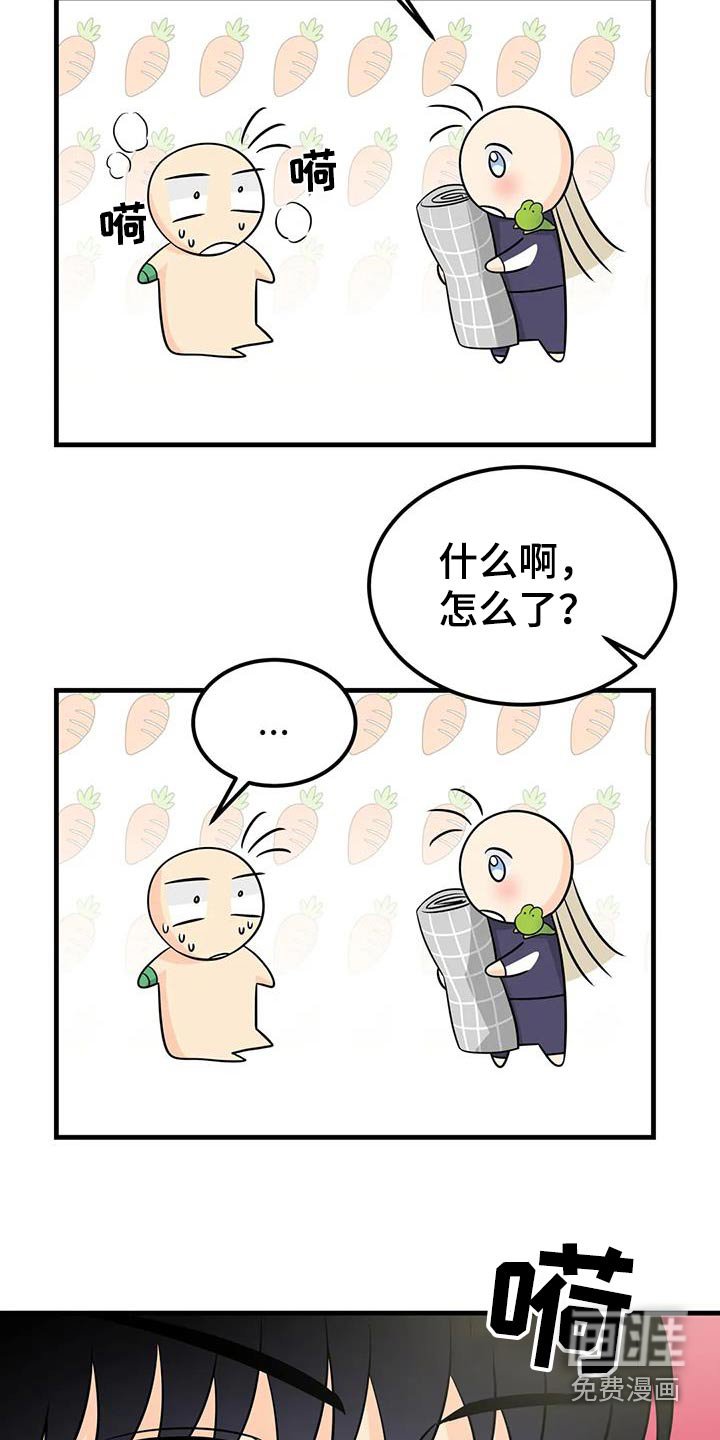 第33章：你醒啦