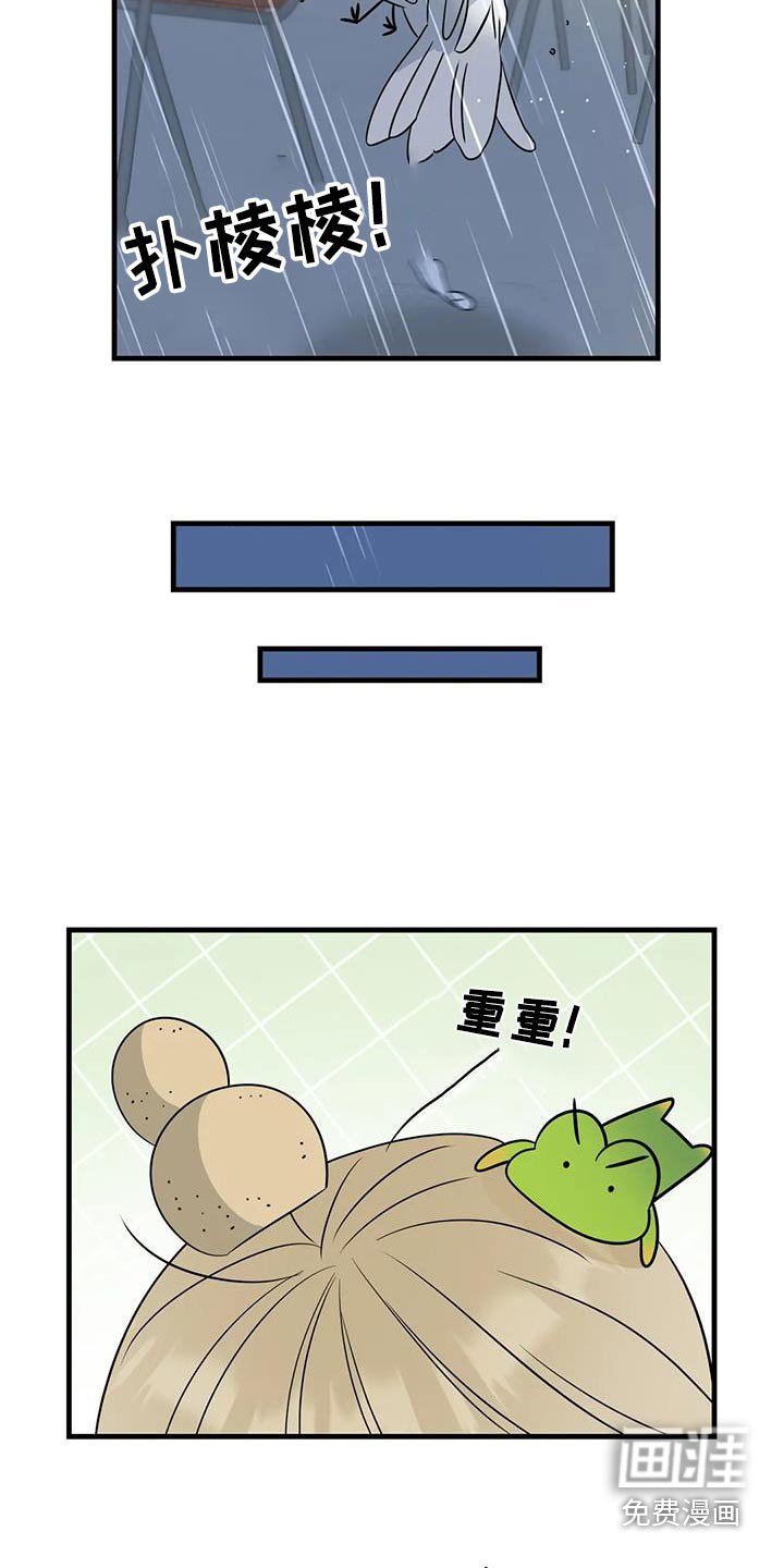第39章：这个样子